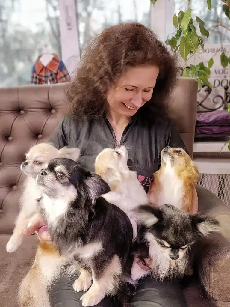 Жінка з пухнастим волоссям дивиться на чихуахуа, а вони на неї