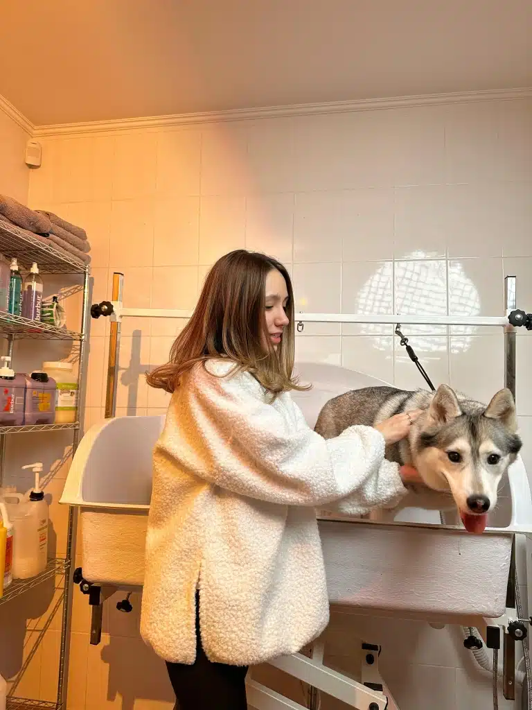 Хаскі хоче вилізти з ванни, а дівчина в світлому светрі його тримає