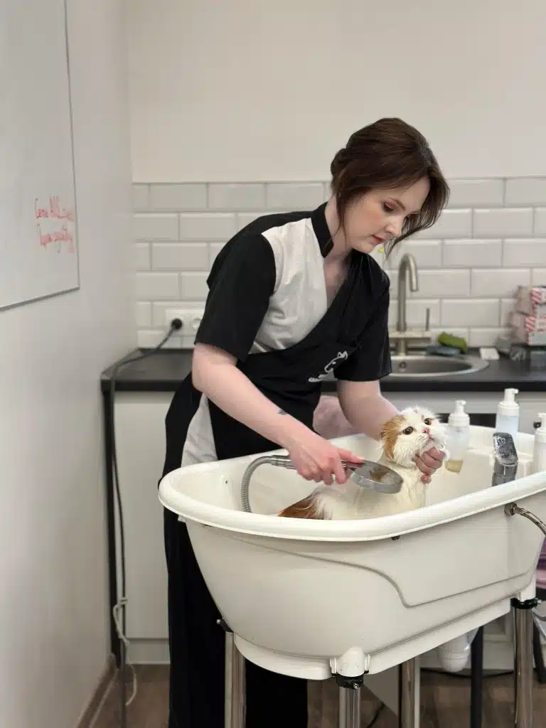 Дівчина в чорно-білій формі з мікрофоном купає з лейки кота у маленькій білій ванні