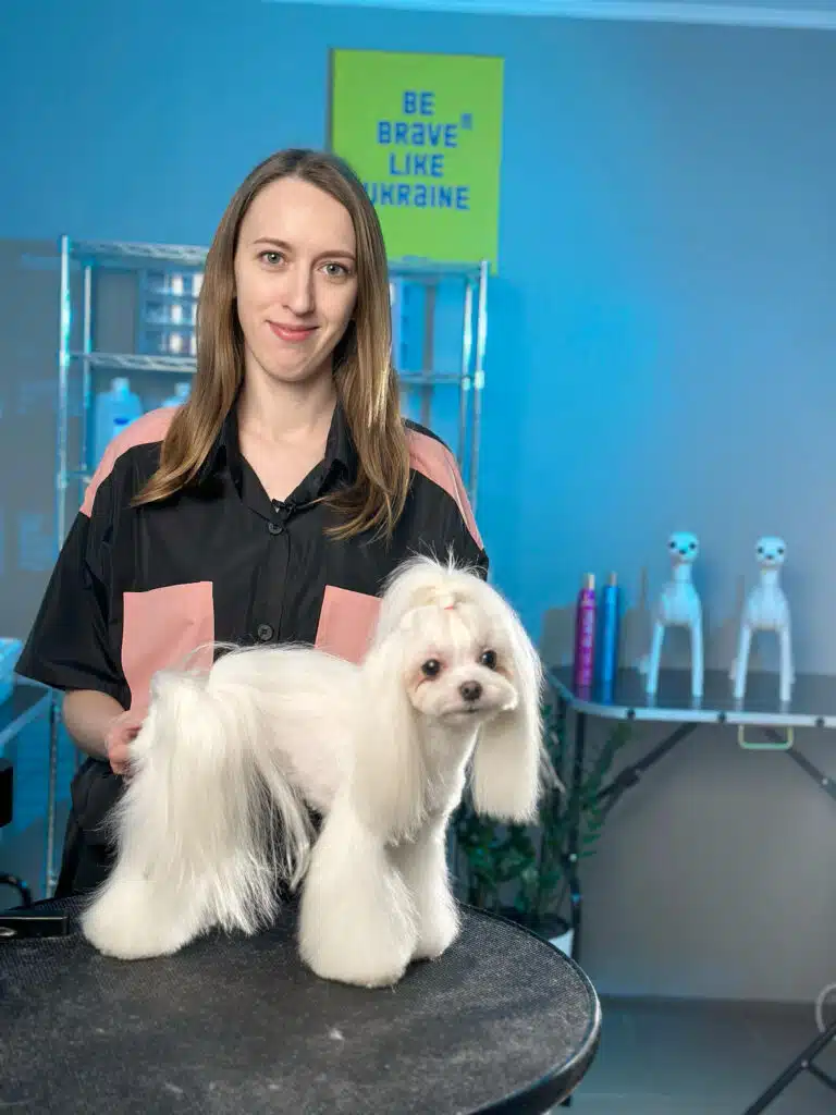 Викладачка посміхається, адже вона гарно підстригла мальтезе та зробила йому зачіску