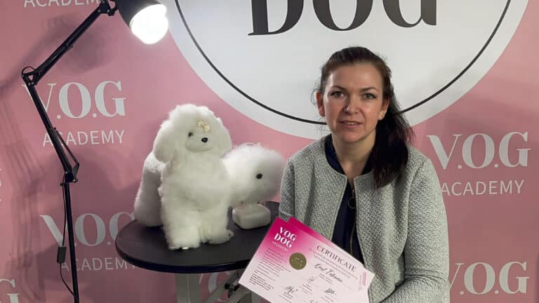 Чорна лампа світить на іграшкових песиків та дівчину з хвостом