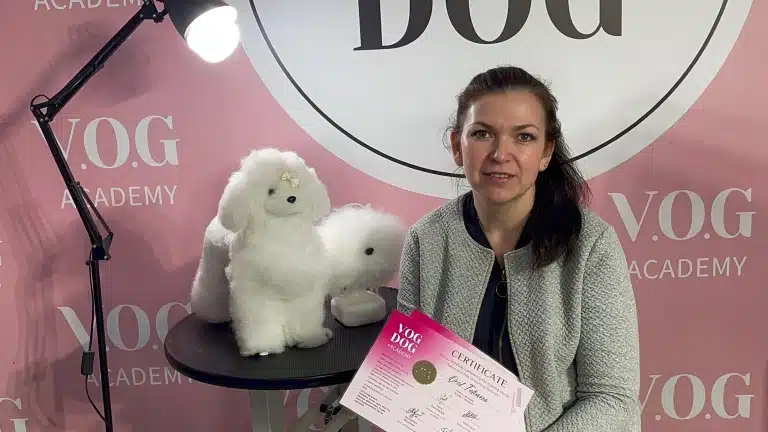 Чорна лампа світить на іграшкових песиків та дівчину з хвостом