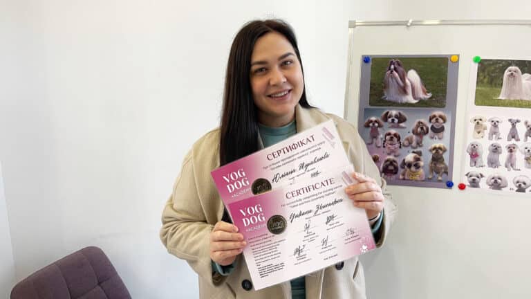 Позаду дівчини прикріплені зображення ши-цу та видів стрижко для цієї породи