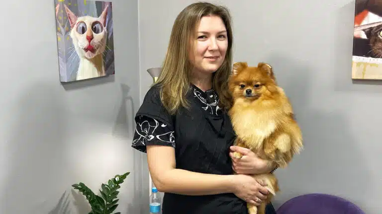 Рудий шпіц сидить на руках дівчини в чорній грумерській формі