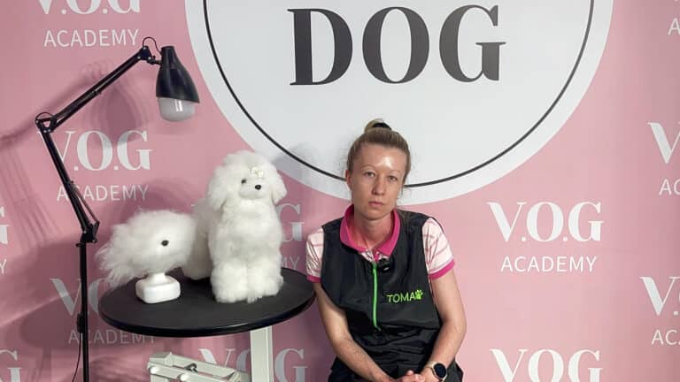 Дівчина з зібраним волоссям та в чорній жилетці сидить біля круглого грумерського столу