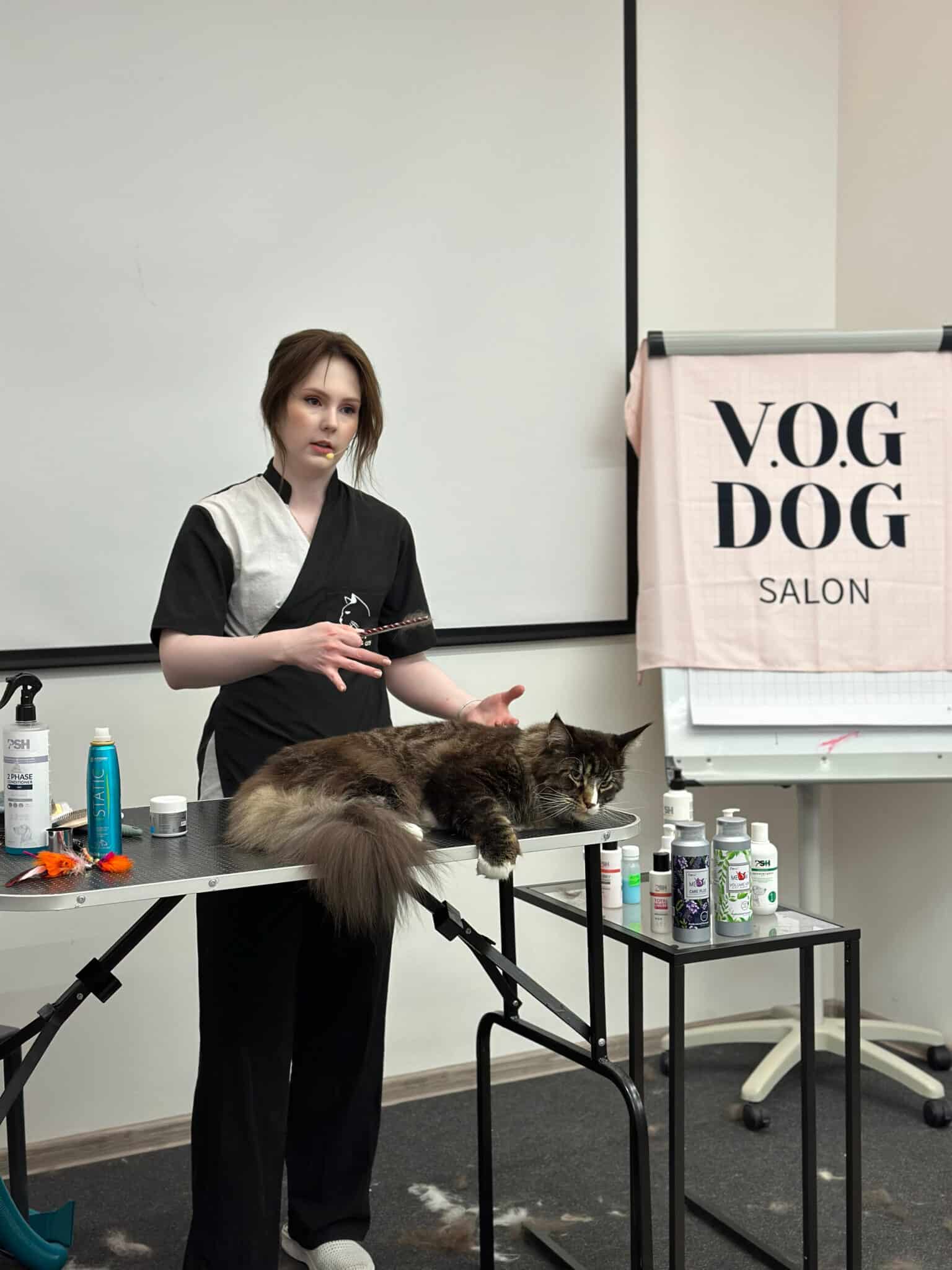 Дівчина в чорно-білій формі з мікрофоном розповідає про особливості мейн-кунів, а модель розляглась в цей час на столі