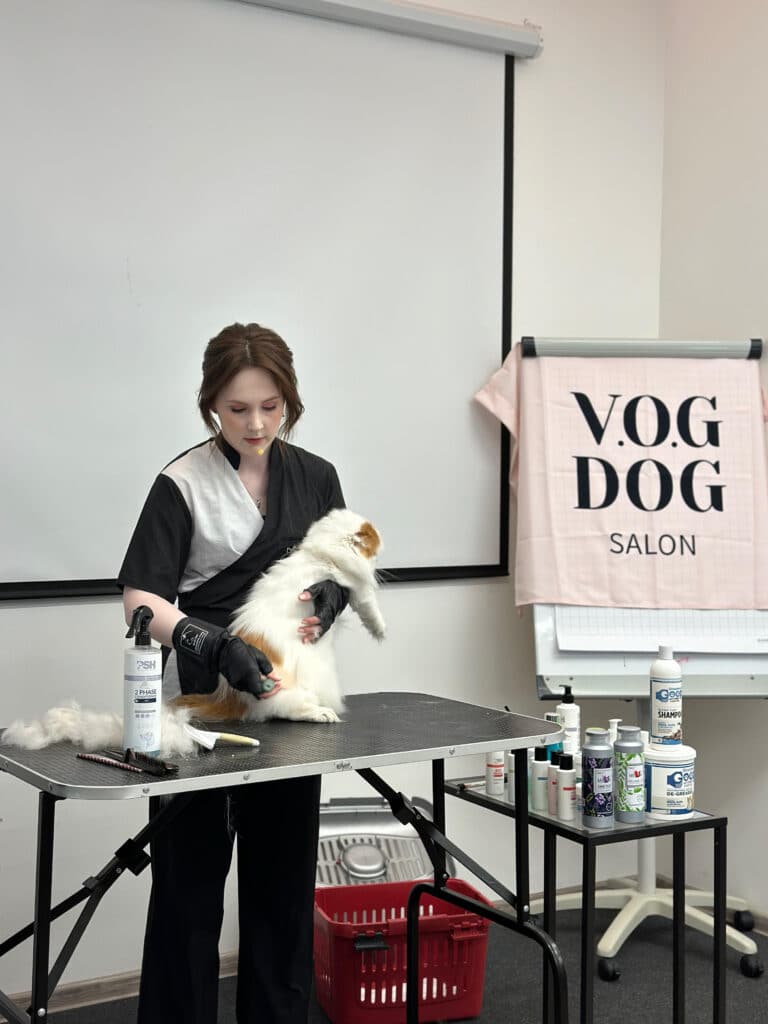 Дівчина в чорно-білій формі з мікрофоном вичісує попу кота, тримаючи його під грудкою