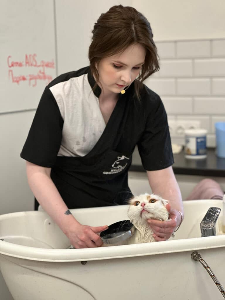 Дівчина в чорно-білій формі з мікрофоном купає у ванній кота, притримуючи його за шию