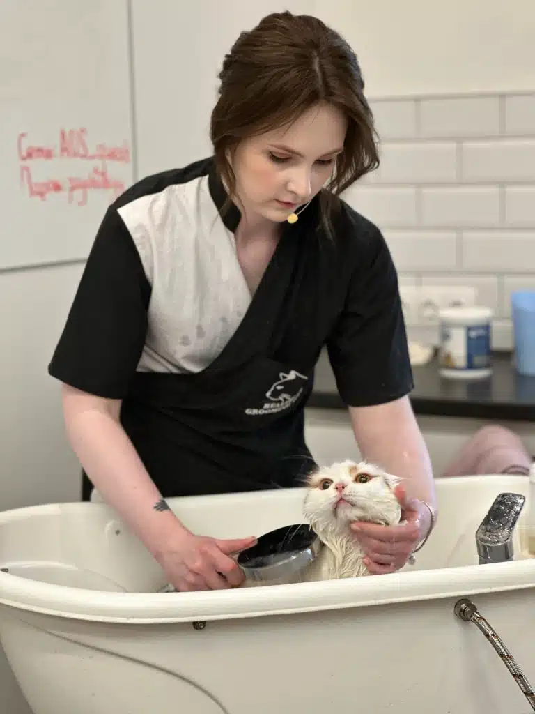 Дівчина в чорно-білій формі з мікрофоном купає у ванній кота, притримуючи його за шию