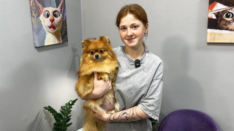 Дівчина в сірій футболці має колір волосся такий самий, як шерсть шпіца