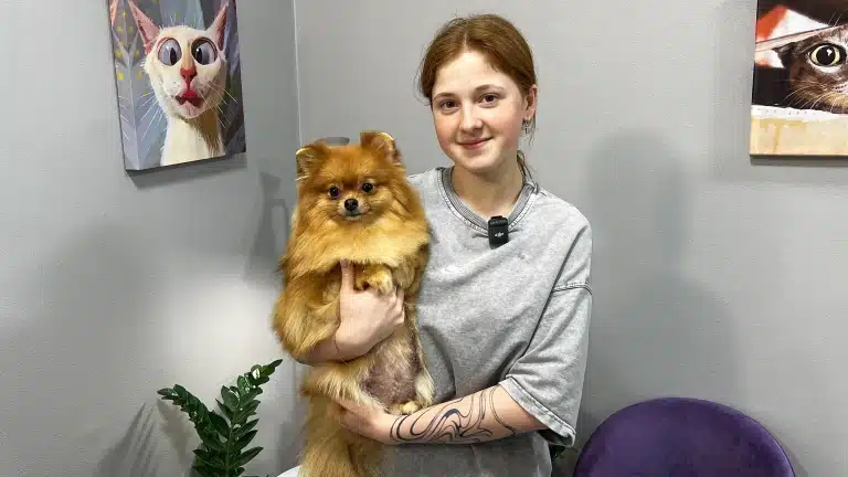 Дівчина в сірій футболці має колір волосся такий самий, як шерсть шпіца