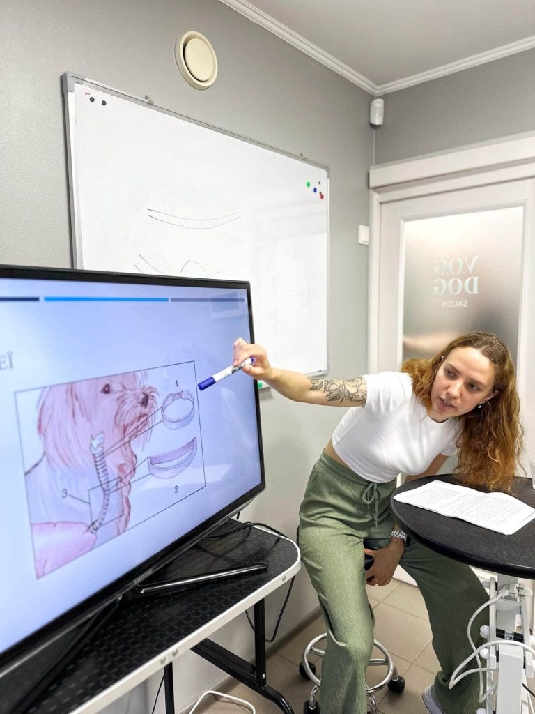 Ветеринар показує на екрані, як і де розташована трахея у собак