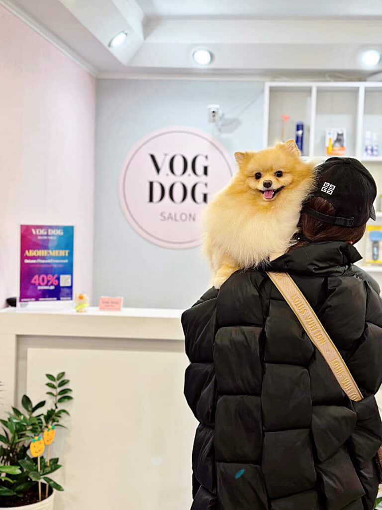 Власниця в чорній кепці повернулась спиною, щоб показати свого красивого шпіца