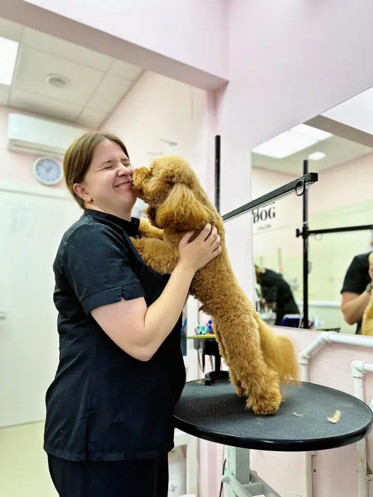 Мальтіпу радісно зустрів грумера та почав вилизувати йому щічку