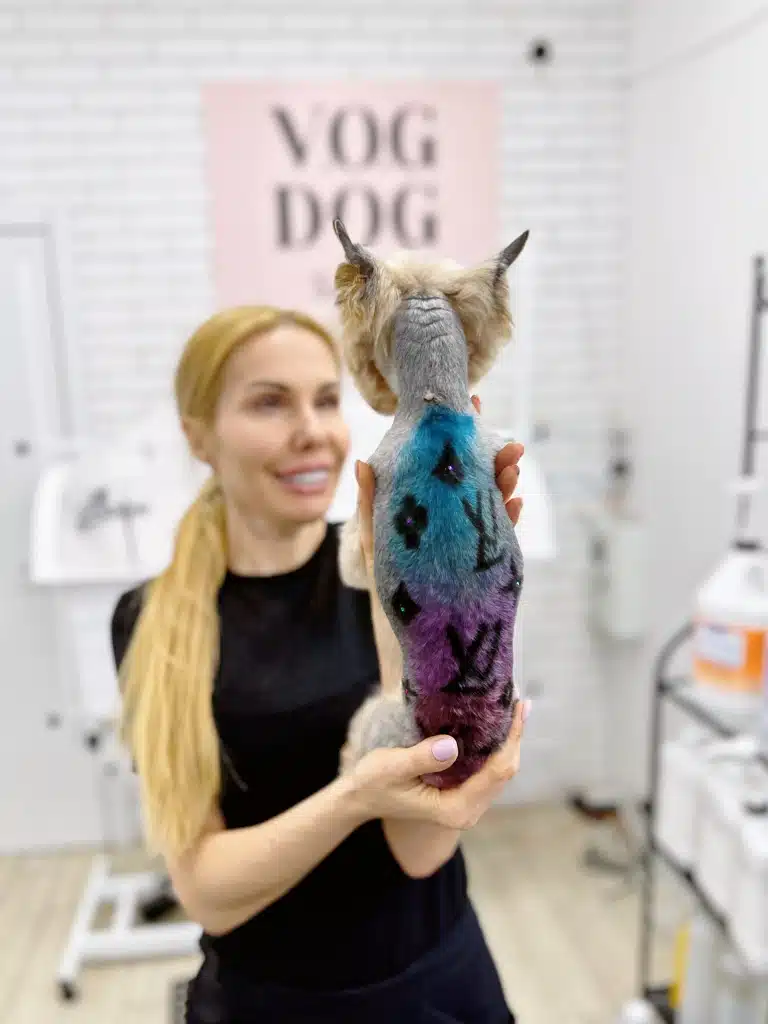 Йорк з креативною стрижкою та двоколірним фарбуванням дивиться на дівчинку з довгим хвостом