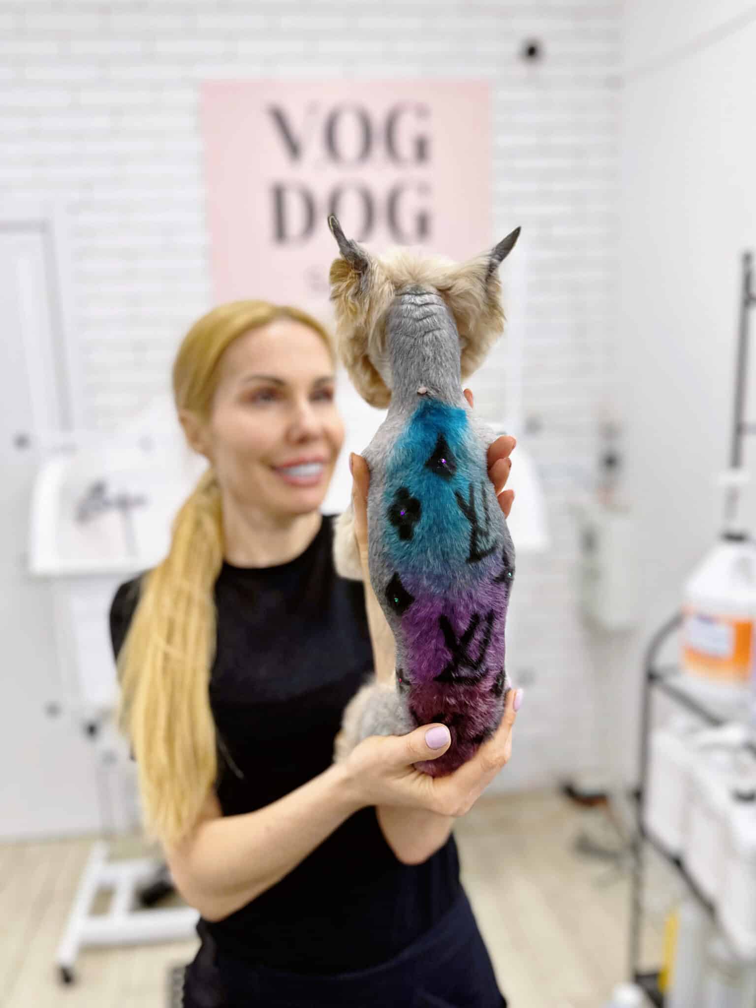 Йорк з креативною стрижкою та двоколірним фарбуванням дивиться на дівчинку з довгим хвостом