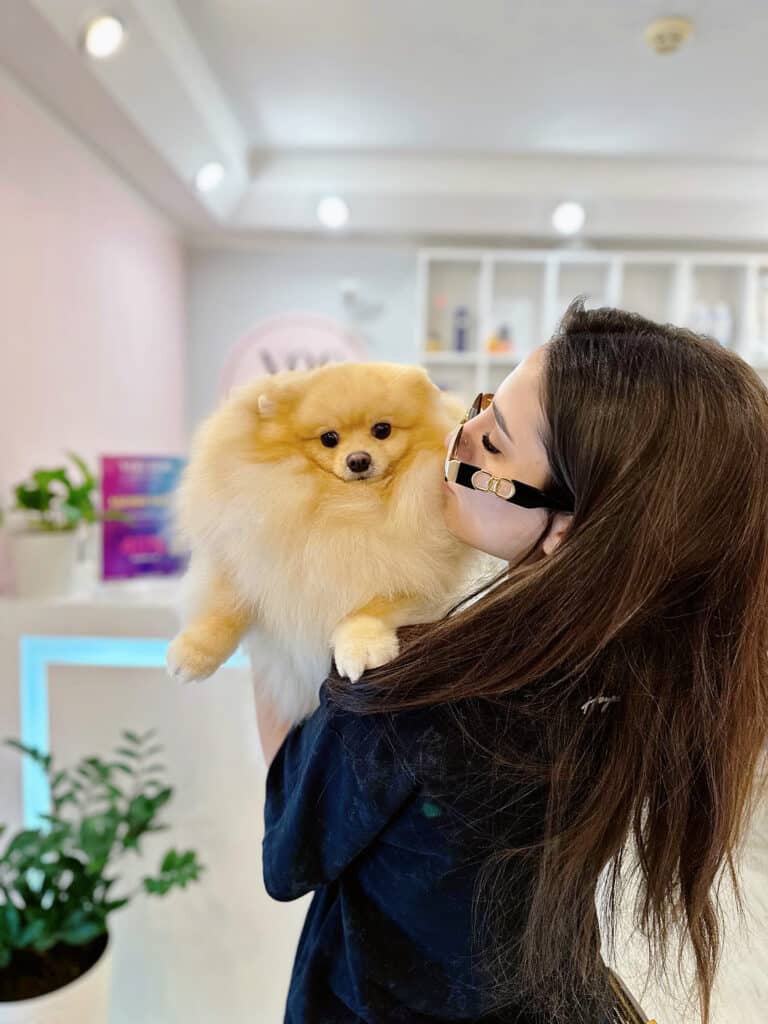 Власниця в окулярах цілує підстриженого в салоні шпіца