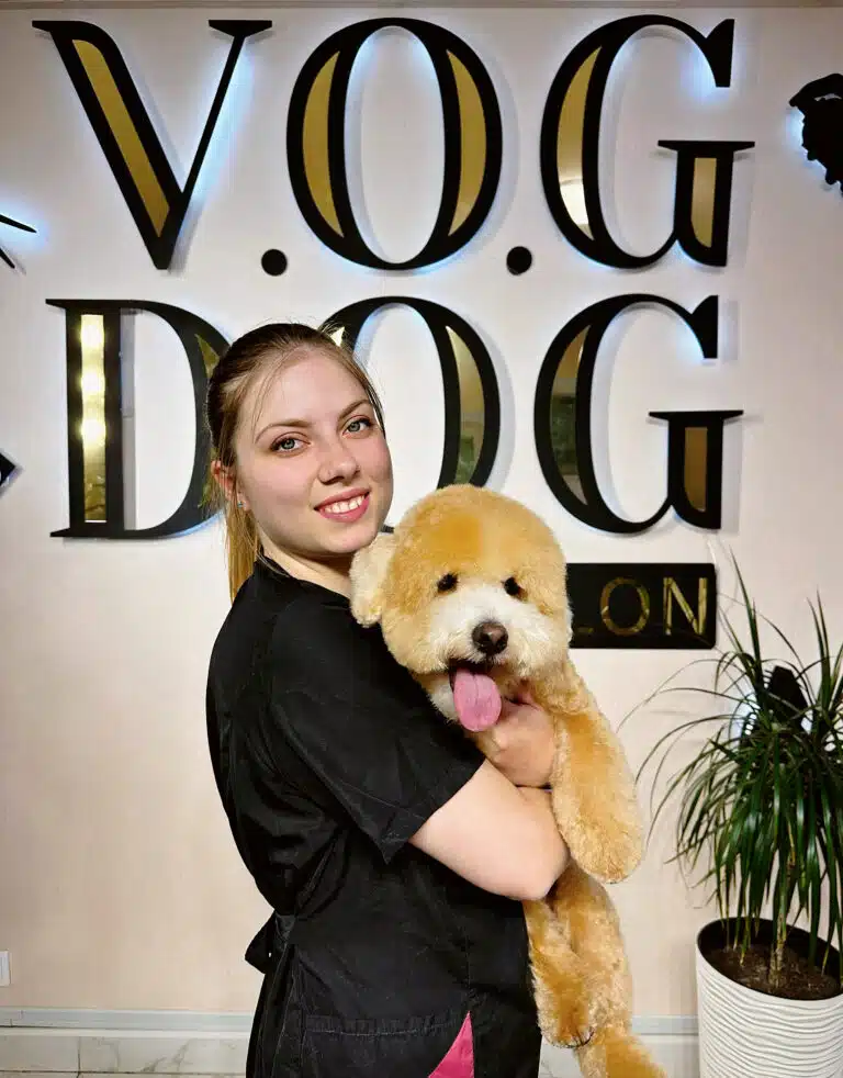 Топ-грумер Поліна притисла до себе мальтіпу після проведеного разом грумінгу