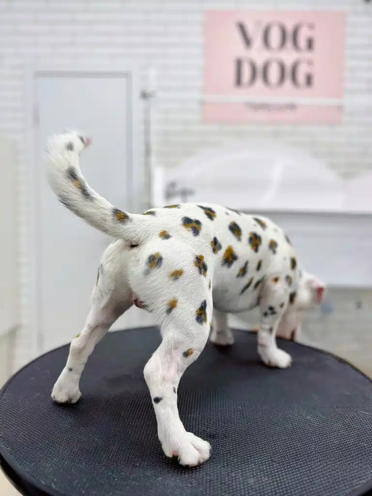 Білий пес з чорно-коричневими плямами трохи схожий на леопарда