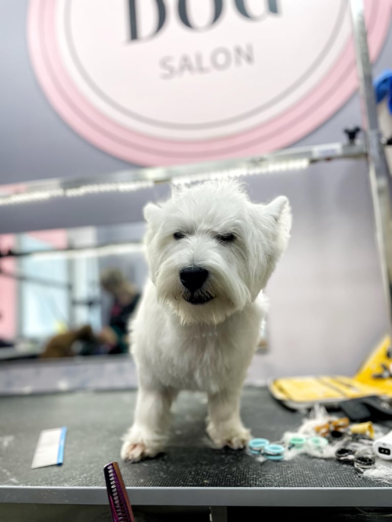 Вест прикрив очі від яскравого світла в грумерській