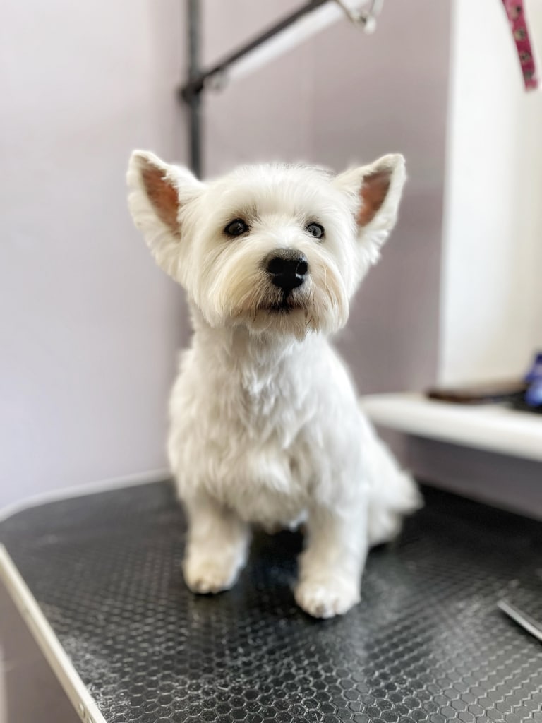 Вест після стрипінгу зберіг свою об'ємну форму