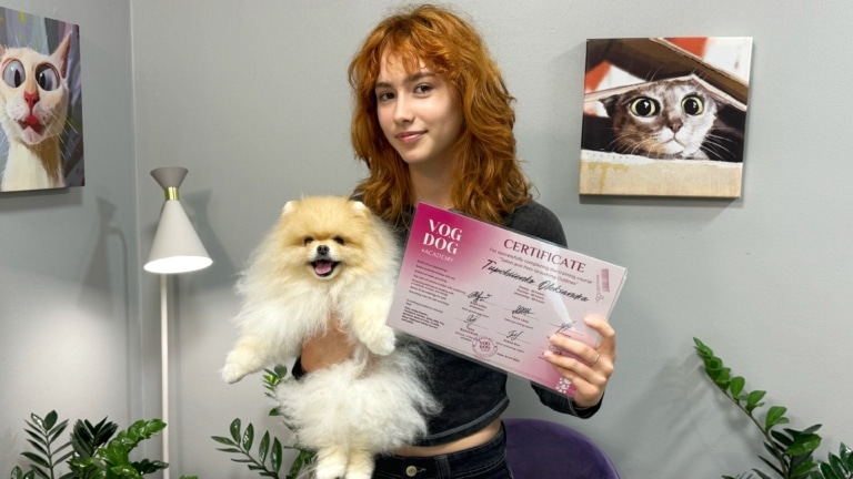 Шпіц допоміг отримати сертифікат рудій дівчині