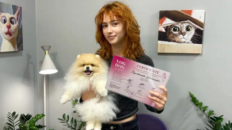 Шпіц допоміг отримати сертифікат рудій дівчині