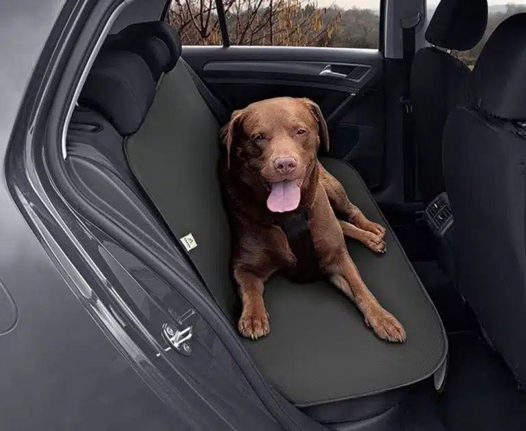 Ретривер ліг на спеціальний килимок в машині