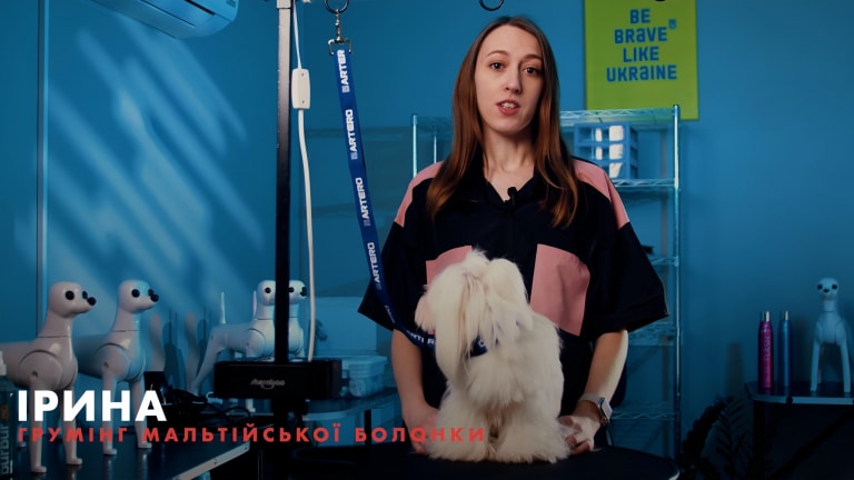 Викладач Ірина разом з мальтезе готова до запису курсу грумінгу