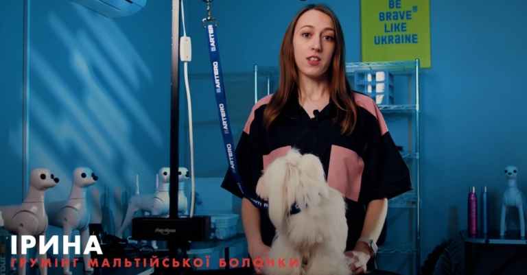 Викладач Ірина разом з мальтезе готова до запису курсу грумінгу