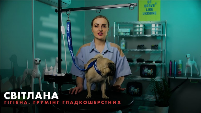 Викладачка Світлана розповідає в новому курсі про грумінг гладкошерстих собак