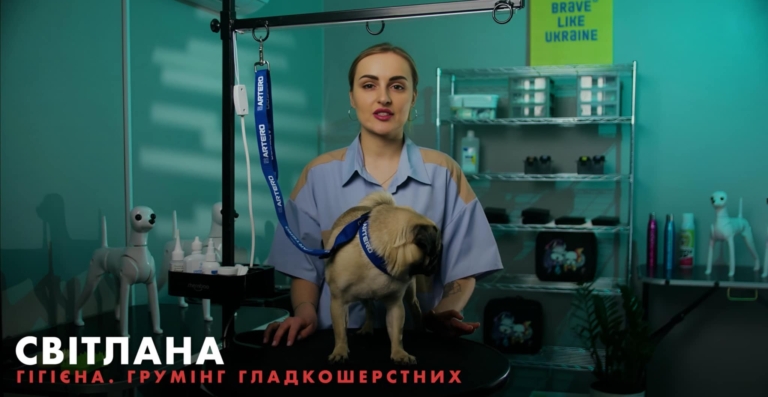 Викладачка Світлана розповідає в новому курсі про грумінг гладкошерстих собак