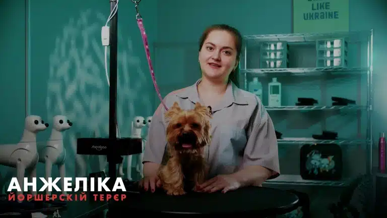Викладач Анжеліка разом з йорком готова до запису курсу грумінгу