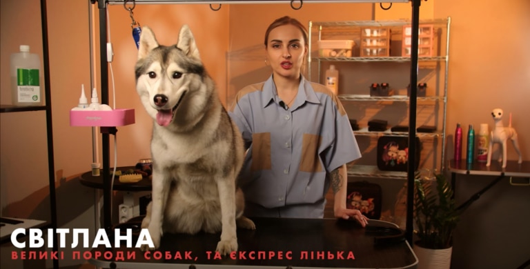 Викладач Світлана разом з хаскі готова до запису курсу грумінгу