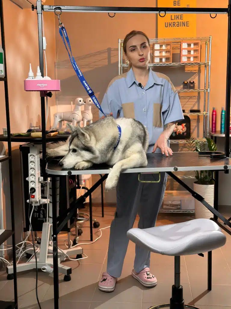 Викладач розповідає про грумінг хаскі в грумерській