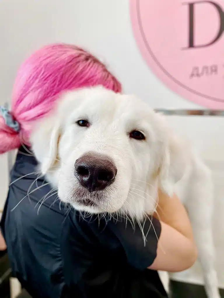 Грумер з рожевим волоссям міцно обіймає білого собаку