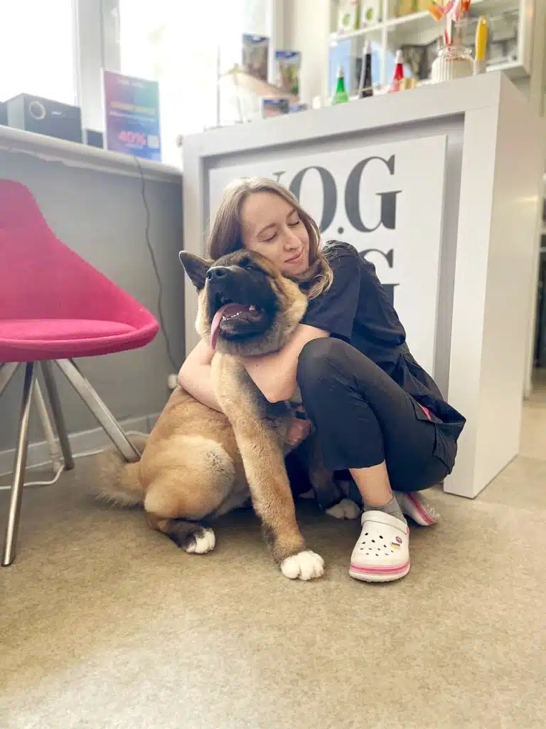 Грумер обіймається з американською акітою після грумінгу біля вікна