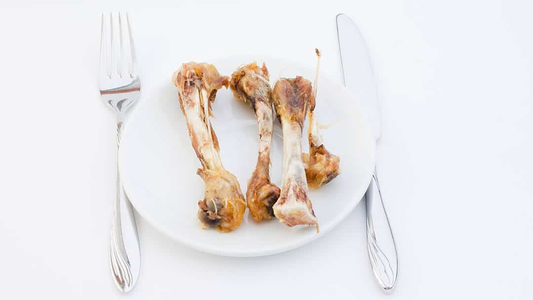 Can you give a dog bones? V.O.G DOG SALON