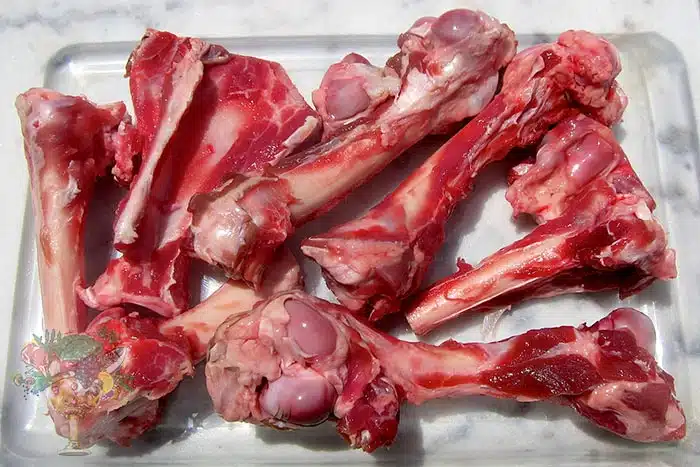 Can u give dogs lamb bones hotsell