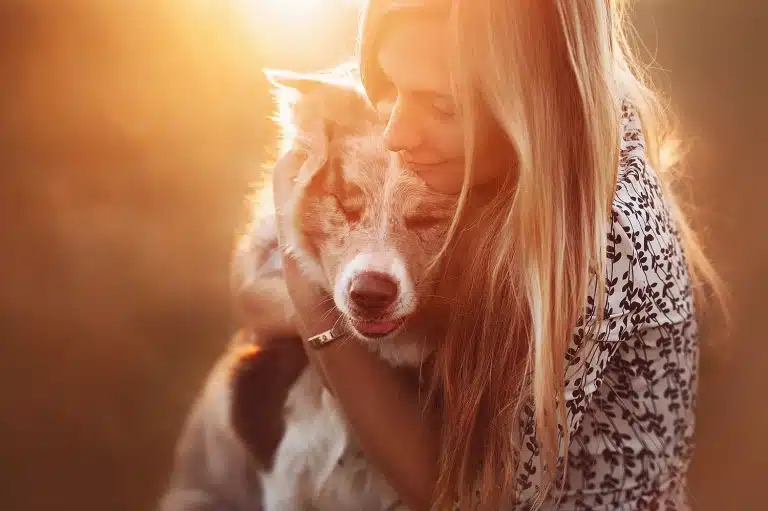 Дівчина з довгим волоссям притискає до себе коллі під час заходу сонця