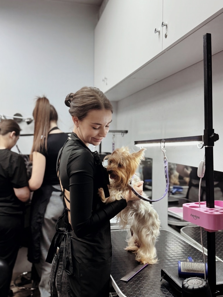 Йорка став на задні лапи, щоб привітатись з дівчиною у чорному фартусі