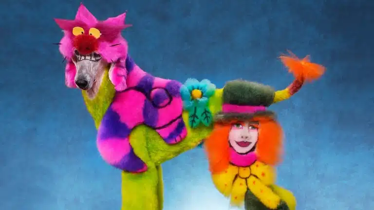 На шерсті пуделя зображено героїв з "Аліса в країні див"