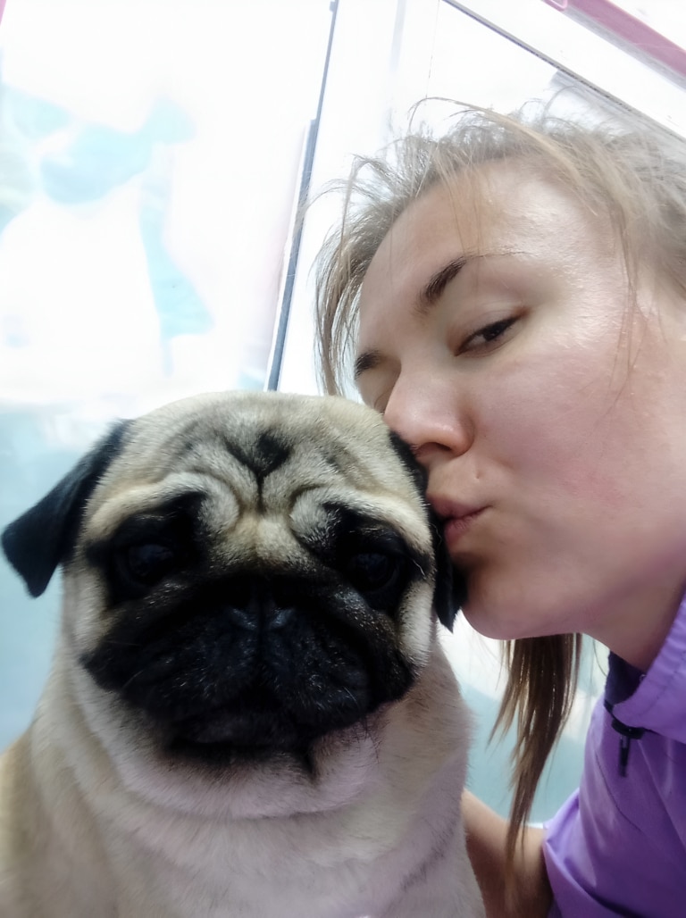 Грумер цілує у вушко свого чистого мопса