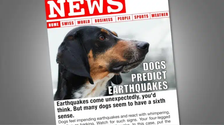Перша сторінка газети з зображенням собаки, який передбачив землетрус