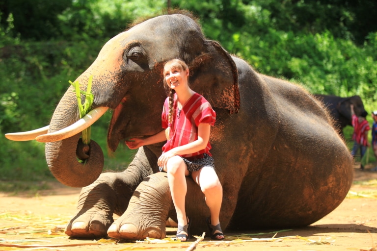 Дівчина у шортах сіла на передню лапу слона, який тримає в хоботі зелень