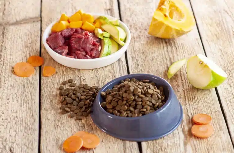 В синій мисці сухий корм, а навколо нього овочі, фрукти та м'ясо