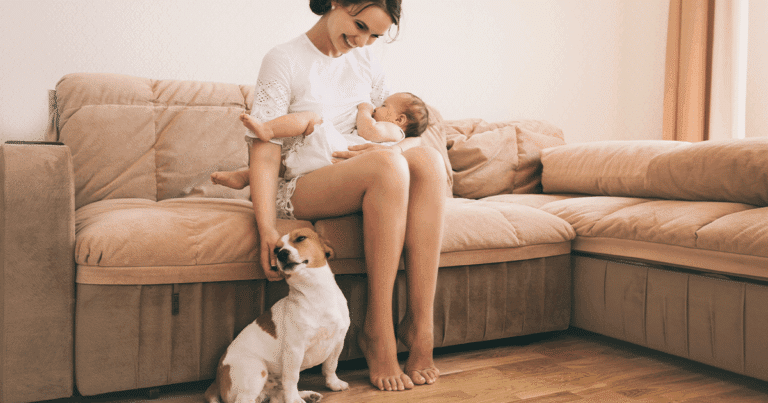 Джек-рассел отримує задоволення від почухувань власниці в той час, як малюк лежить на колінах зверху