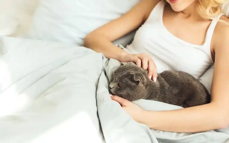 Дівчина в білій майці лежить разом з британським котом у білому ліжку