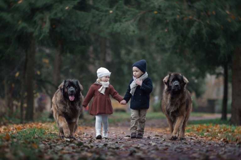 Маленькі хлопчик та дівчинка йдуть, взявшись за руки, у супроводі двох великих собак