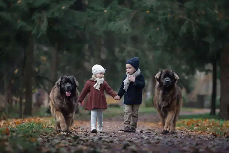Маленькі хлопчик та дівчинка йдуть, взявшись за руки, у супроводі двох великих собак